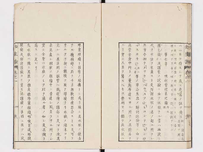 K0092s0065