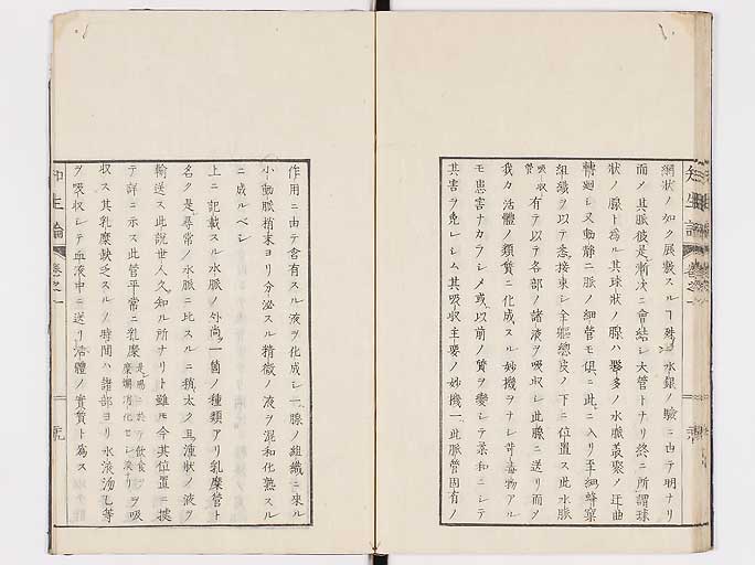 K0092s0066