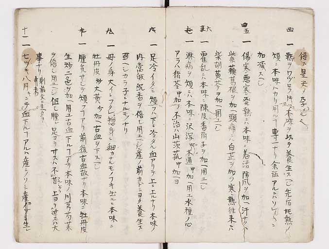 K0093s0006