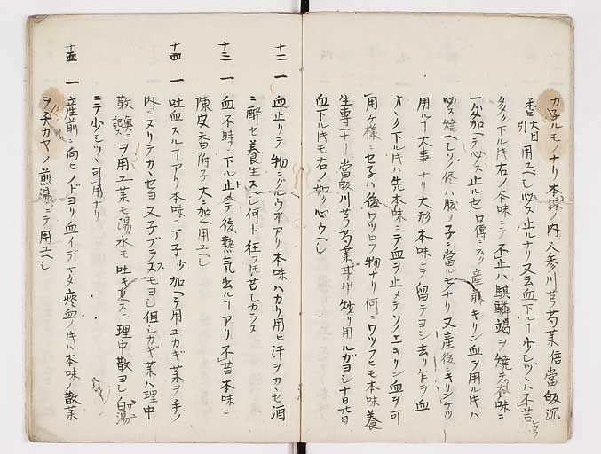 K0093s0007