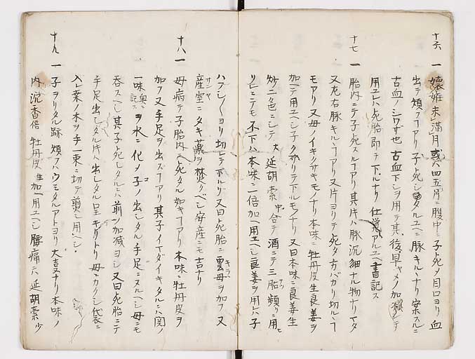 K0093s0008