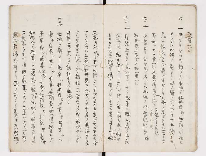 K0093s0009