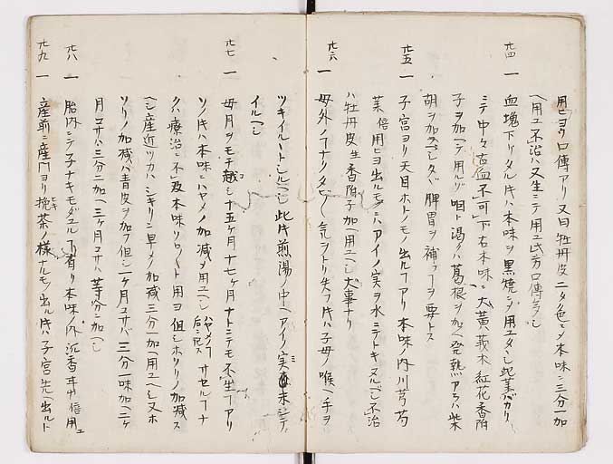 K0093s0010