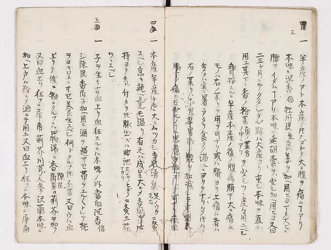 K0093s0016