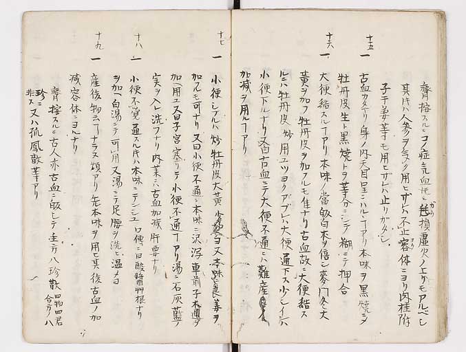 K0093s0019
