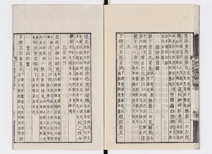 K0095s0077