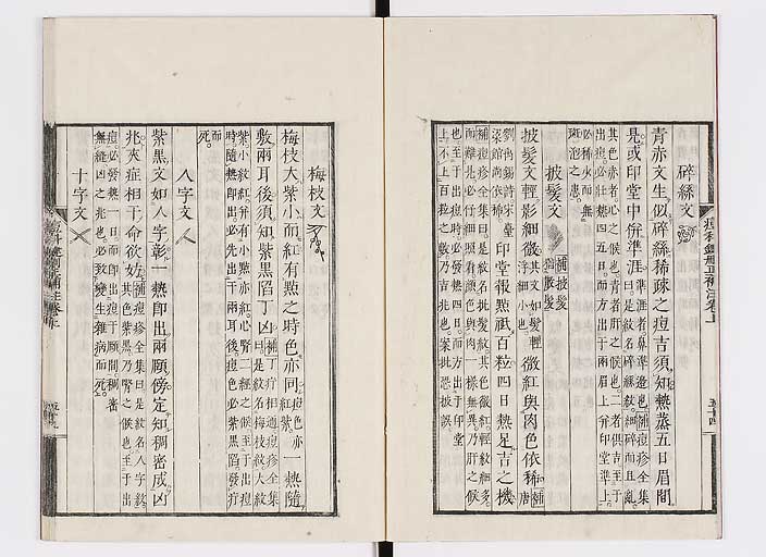 K0095s0083