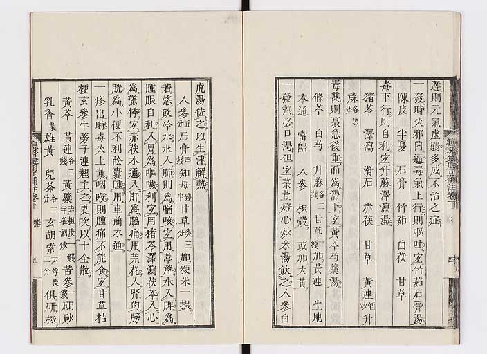 K0095s0196