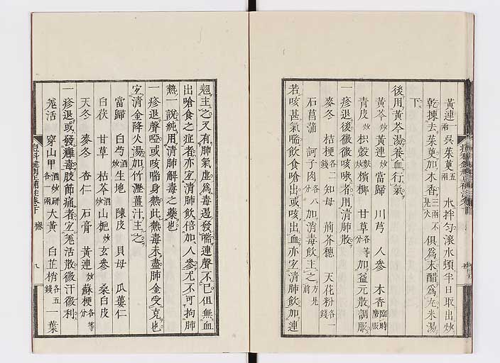 K0095s0199