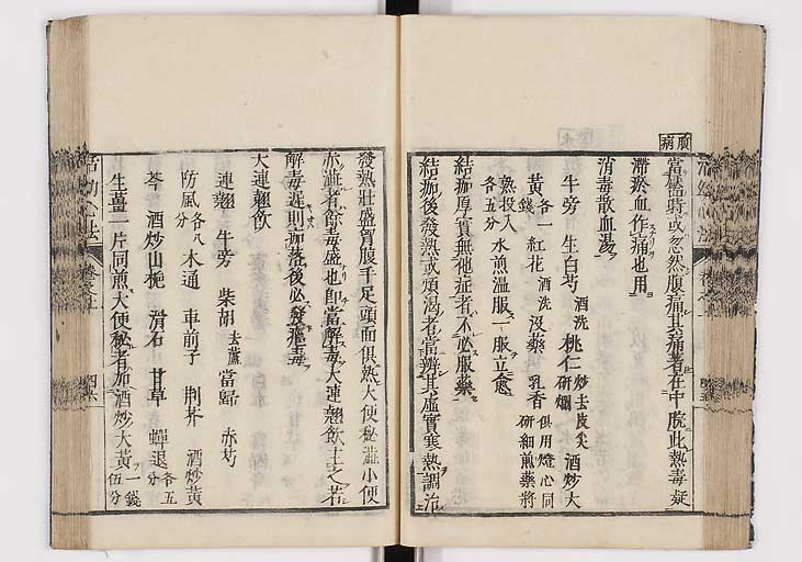 K0096s0049
