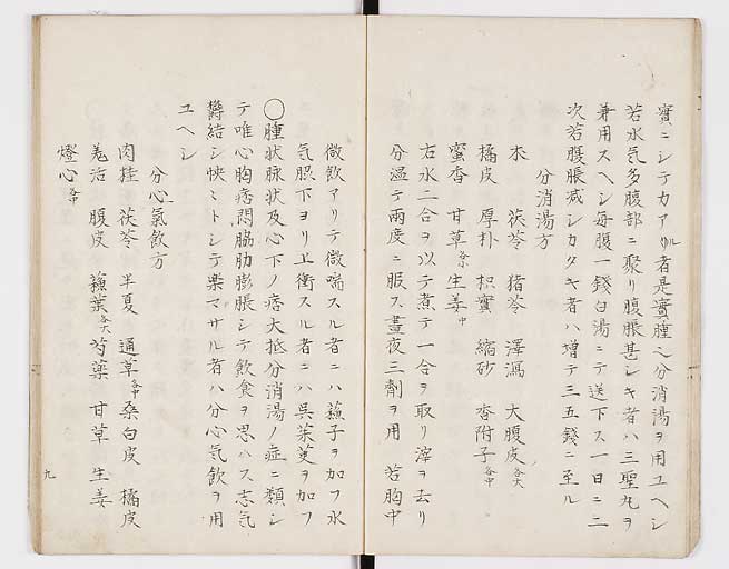 K0098s0012