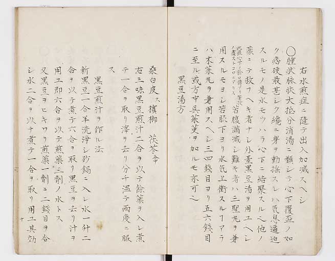 K0098s0013