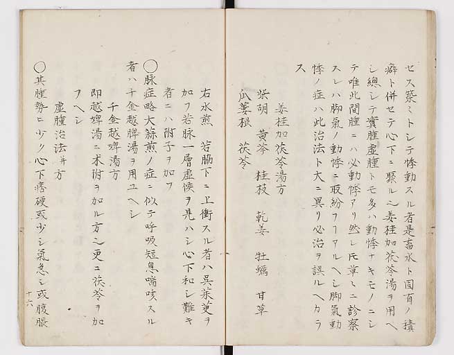 K0098s0019