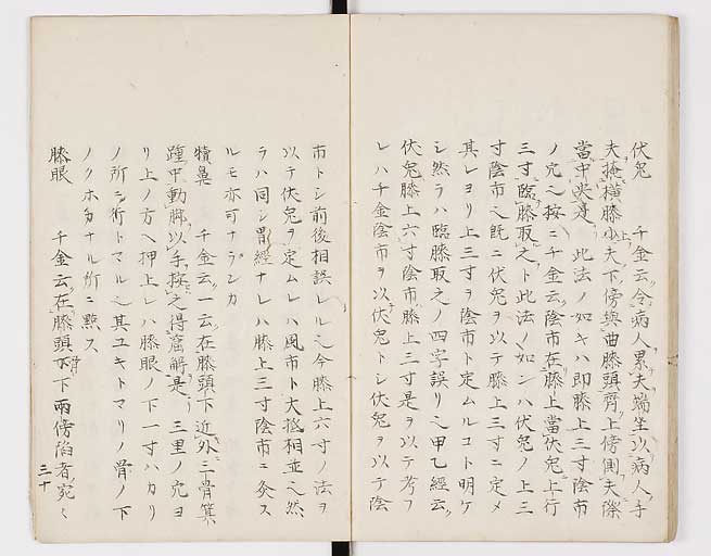 K0098s0033