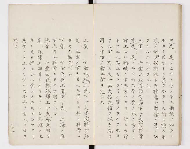 K0098s0034