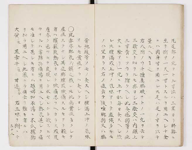 K0098s0035