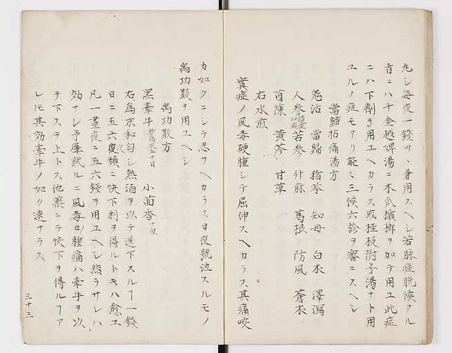 K0098s0036