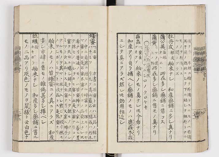 K0105s0029