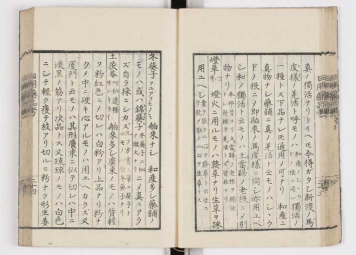K0105s0031