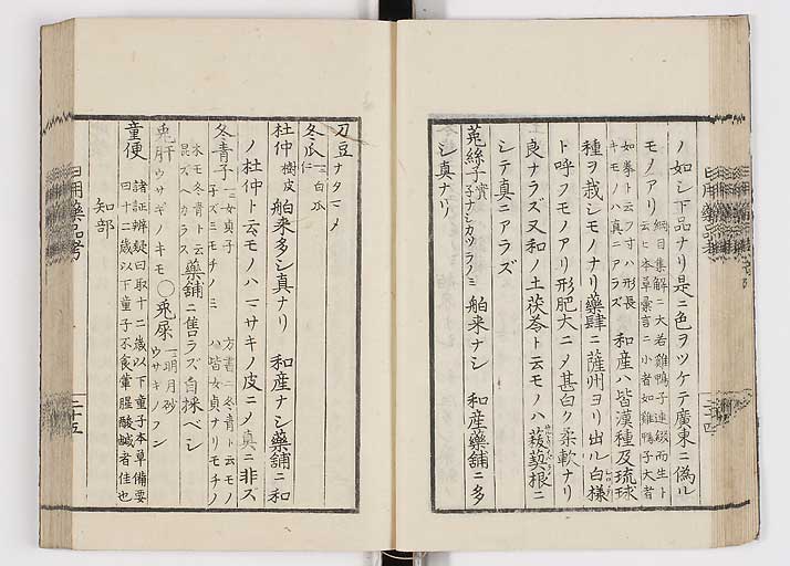 K0105s0032