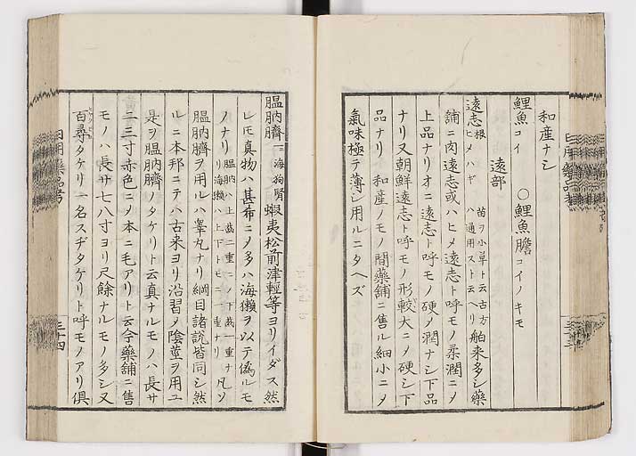 K0105s0041