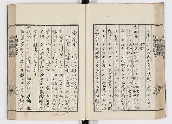 K0105s0042