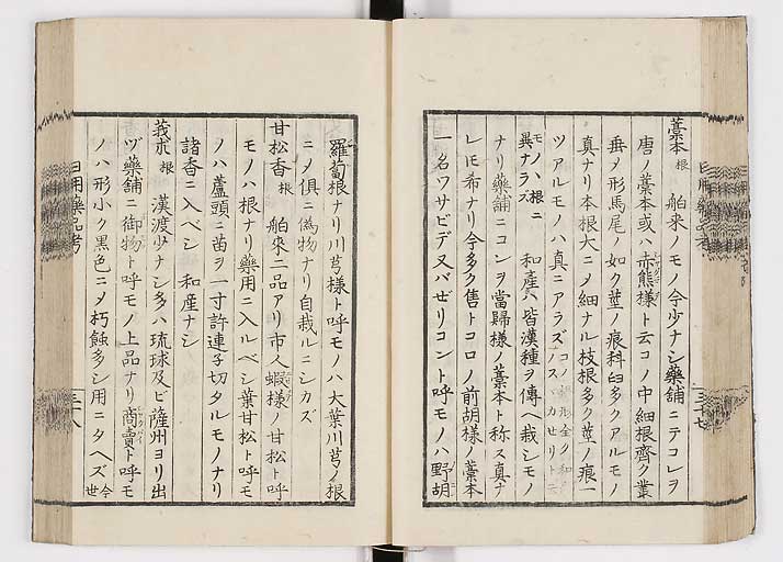 K0105s0045