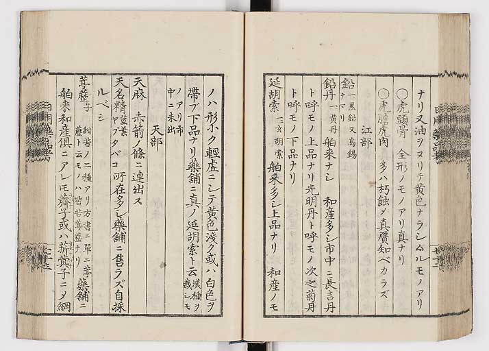 K0105s0081