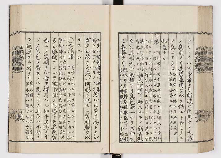 K0105s0084