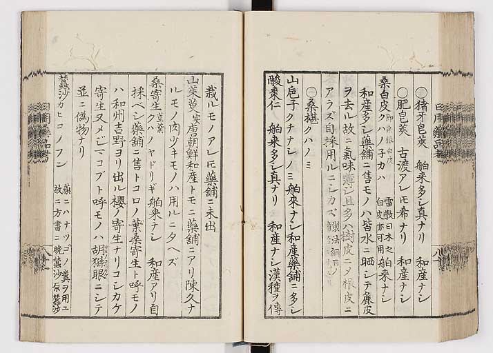 K0105s0089