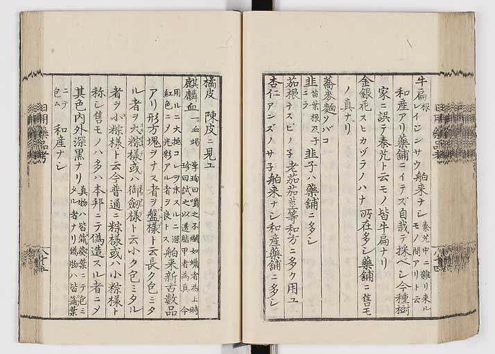 K0105s0093