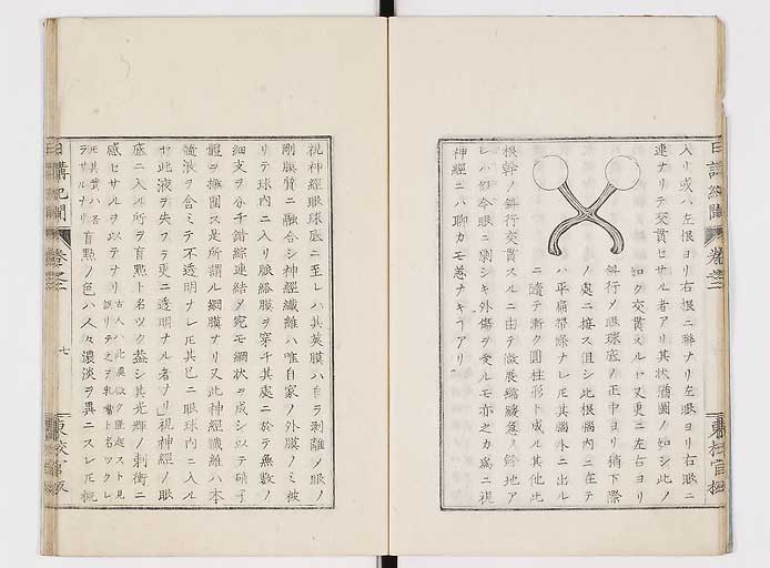 K0106s0009