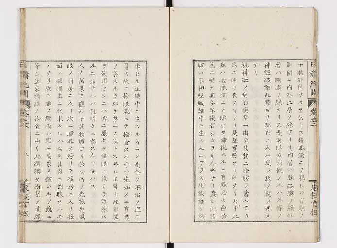 K0106s0010