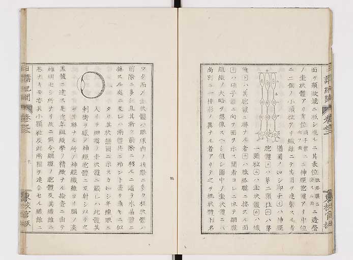 K0106s0011