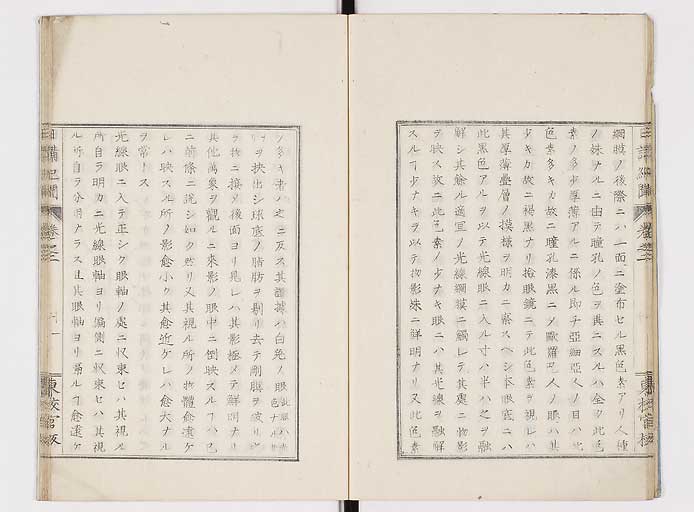 K0106s0013