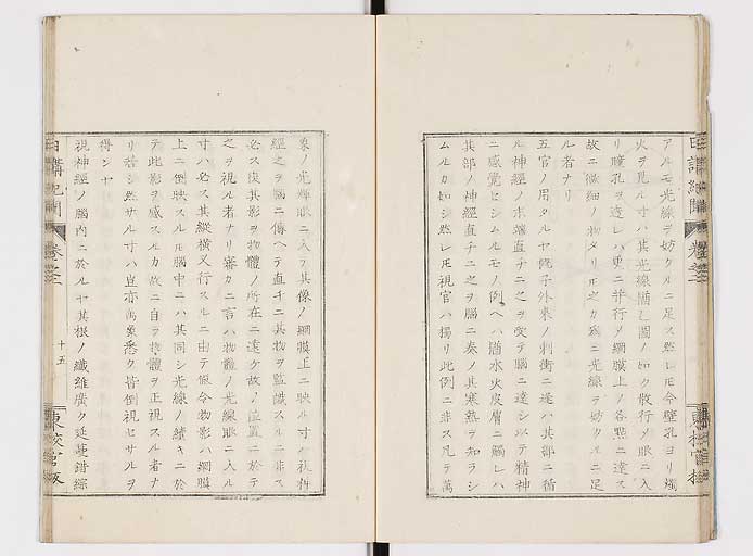 K0106s0017