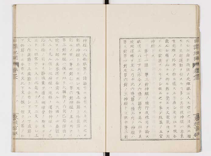 K0106s0018
