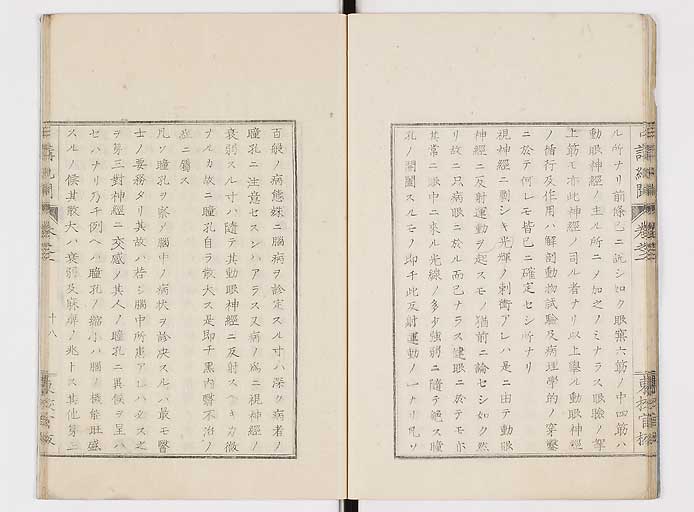 K0106s0020