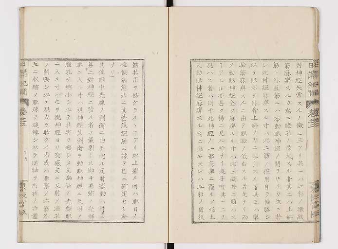 K0106s0021
