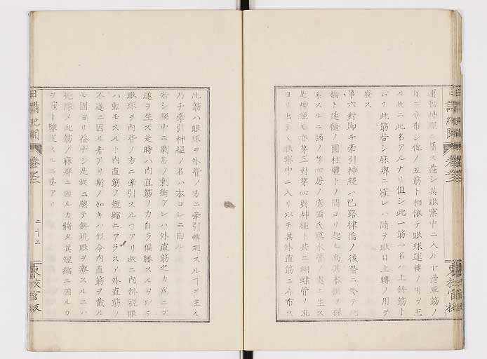 K0106s0025