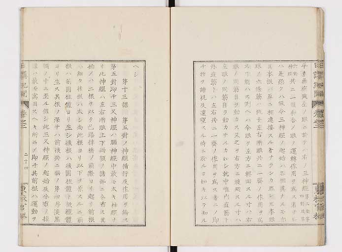 K0106s0026