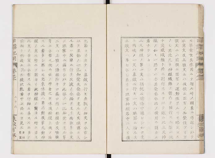 K0106s0028