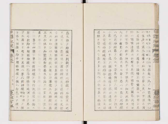 K0106s0029