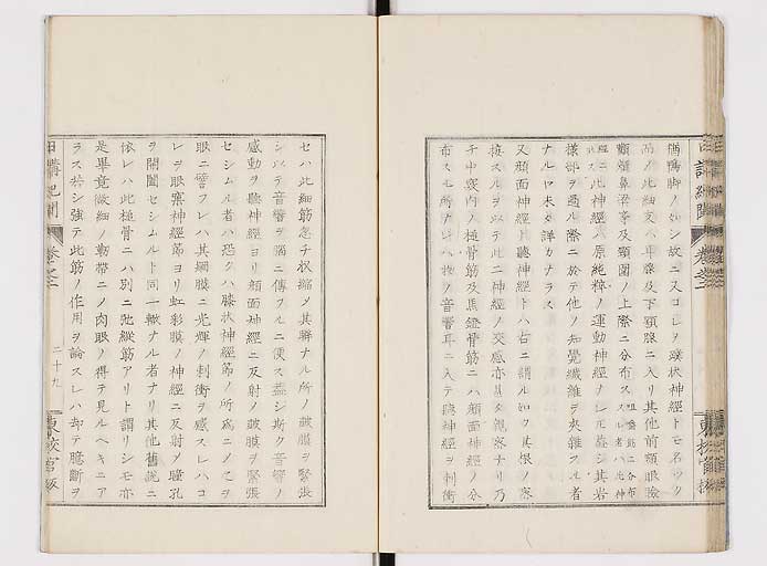 K0106s0031