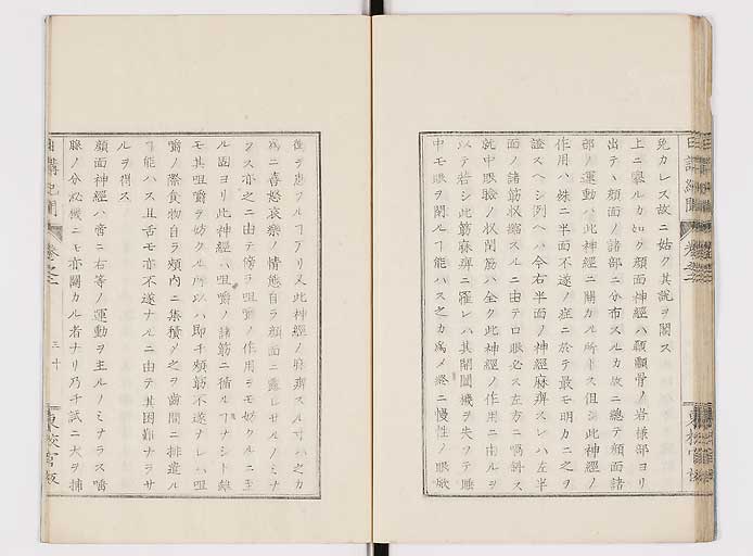 K0106s0032
