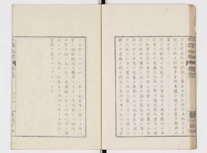 K0106s0036