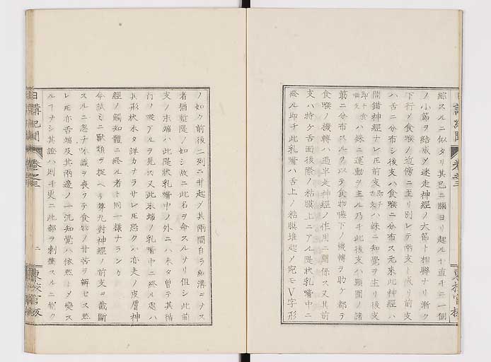 K0106s0042