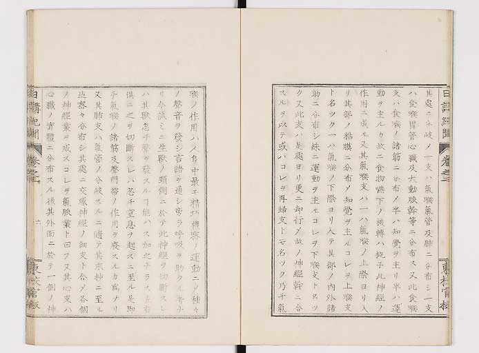 K0106s0046