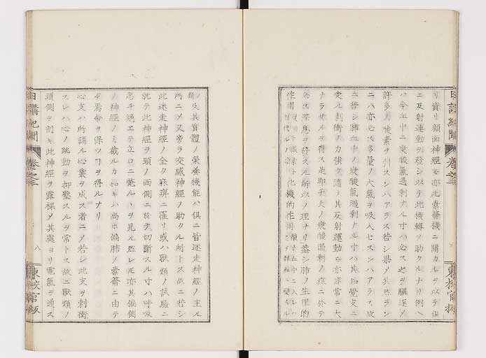 K0106s0048
