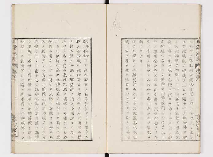 K0106s0049